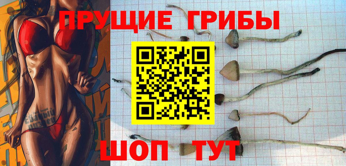 Галлюциногенные грибы мухоморы  Вход с VPN  Оренбург 