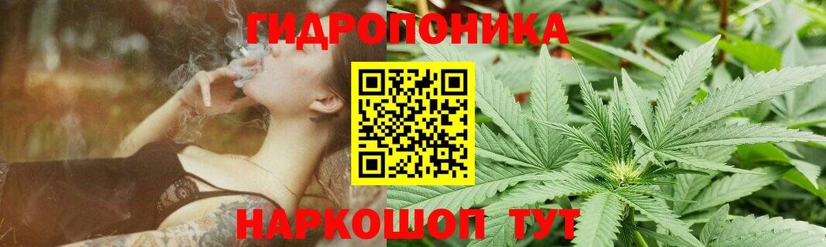 Бошки Шишки сатива  Каннабис Bruce Banner  Оренбург  Вход с VPN  Каннабис гибрид  Марихуана марихуана 